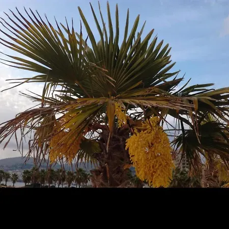 Amaranto Lägenhet Sarandë