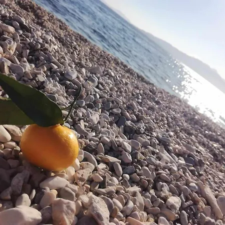 Amaranto Lägenhet *